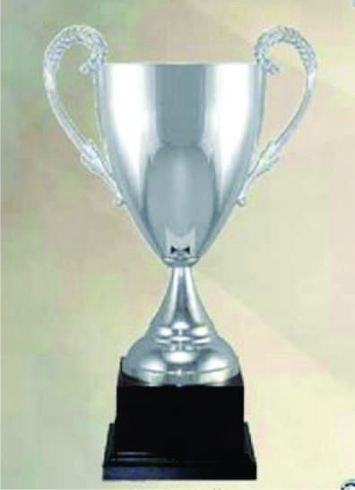 Silver plated Italian Cup