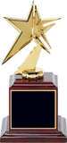 Gold Metal Star Award