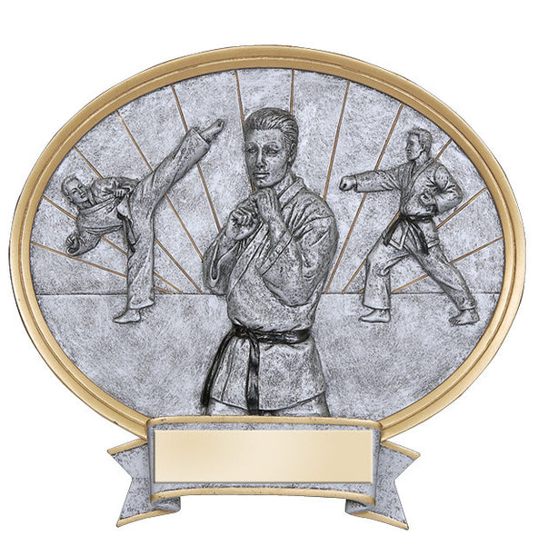 Karate Resin Shield Oval