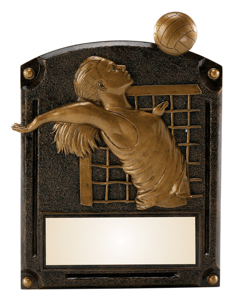 Volleyball Legends of Fame figure Award
