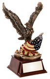American Eagle Resin Award