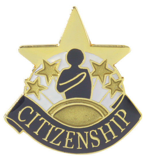 Gold Star Pin