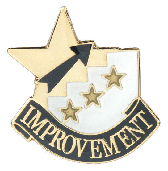 Gold Star Pin