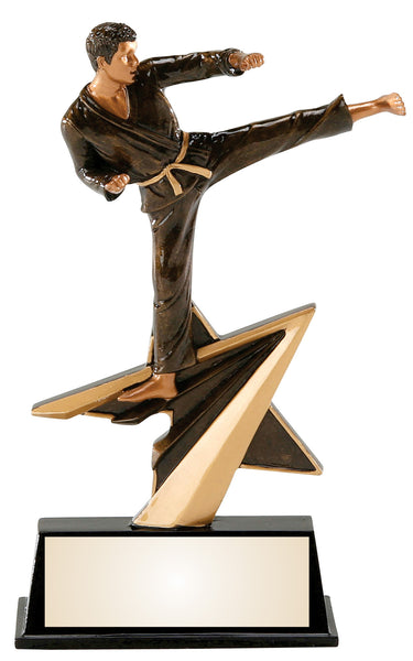 Karate Star Power Resin Figure Award