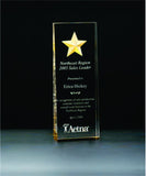 Constellation Award with etched gold star
