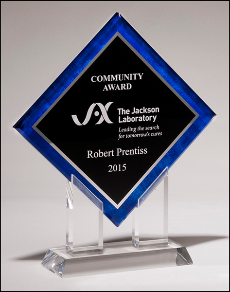 Diamond Series acrylic printed blue border