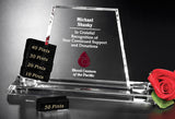 Alliance Goal-Setter Award
