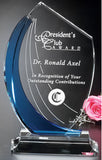 Blue Shadow Award