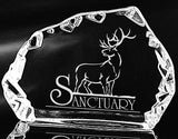 Carved Iceberg Horizontal at AcademyEngraving.com