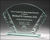 Fan-Shaped Jade Glass Award