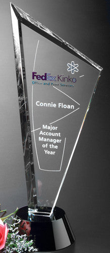Invincible Award