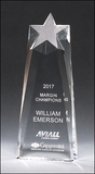 Star Trophy Carved from a Block of Crystal