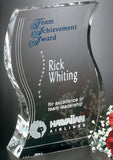 Malibu Award