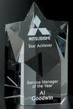 Mega Star