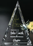 Palisade Award