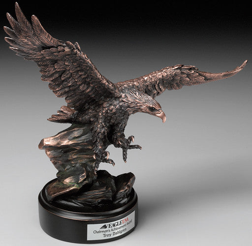 Soaring Eagle Award