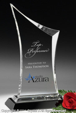 Coburn Award