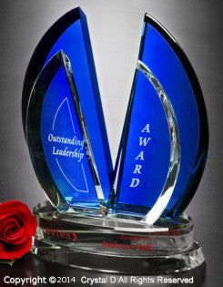 Flight Indigo Award
