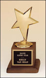 Modern Star Casting Award