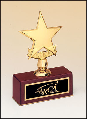 Small Star Casting Award