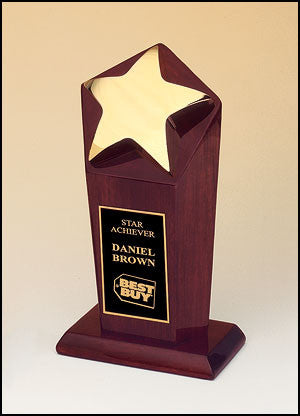 Large Star Casting Award
