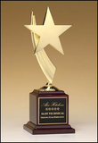 Star Award on rosewood base