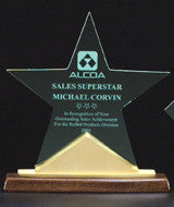 Star acrylic award with gold accents