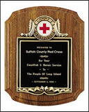 American Walnut Plaque with notched edges and casting insert