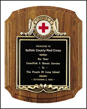 American Walnut Plaque with notched edges and casting insert