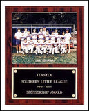 American Walnut Photo/Certificate Plaque large